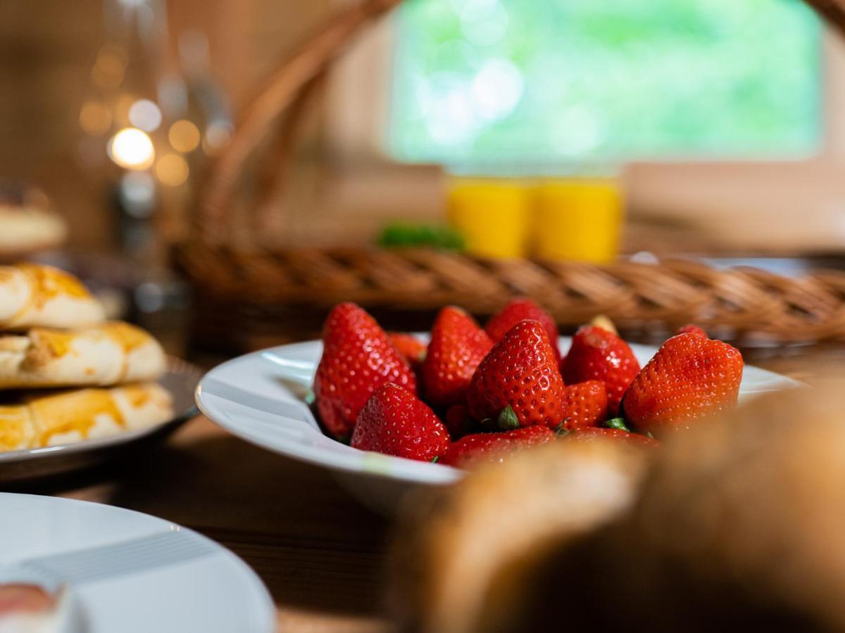 Treehous Sneznik S Wellness Hotell Dolní Morava Eksteriør bilde