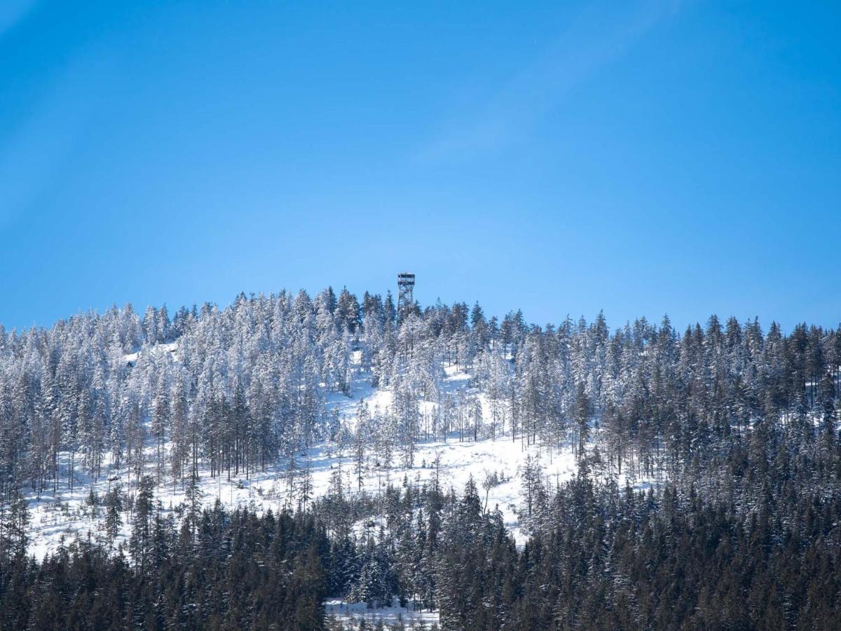 Treehous Sneznik S Wellness Hotell Dolní Morava Eksteriør bilde
